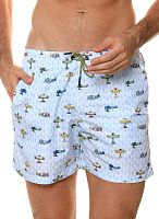 Мужские пляжные шорты с принтом в виде самолетов