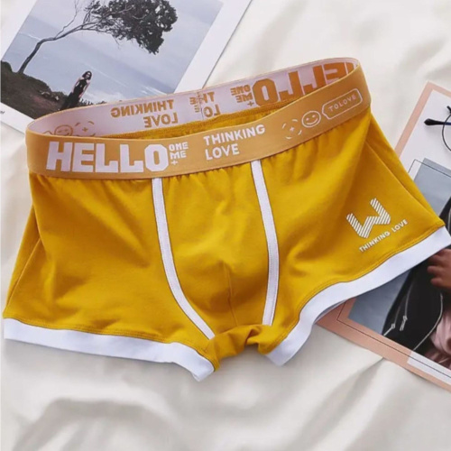 Набор из 4 мужских трусов-боксеров фото 5