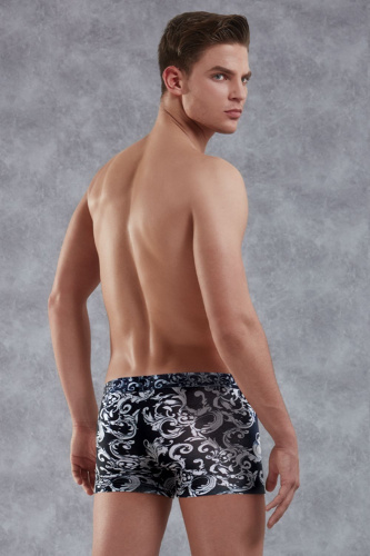 Мужские боксеры Doreanse Rococo фото 2