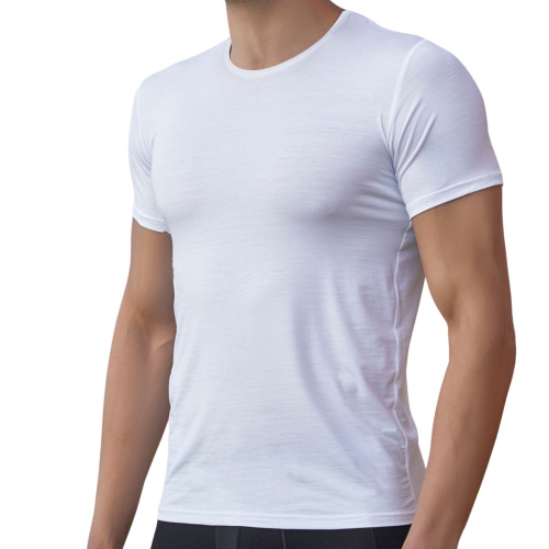 Мужская классическая футболка Doreanse Premium фото 3
