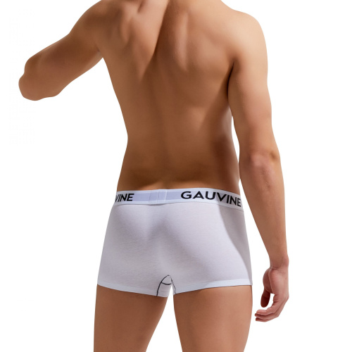 Мужские трусы-боксеры Gauvine фото 4