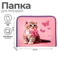 Папка для тетрадей А5, 180 х 230 х 25 мм, молния вокруг, пластиковая 0.5, ПМ-А5-04 Calligrata