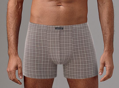 Клетчатые мужские боксеры фото 2