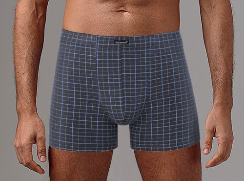 Клетчатые мужские боксеры